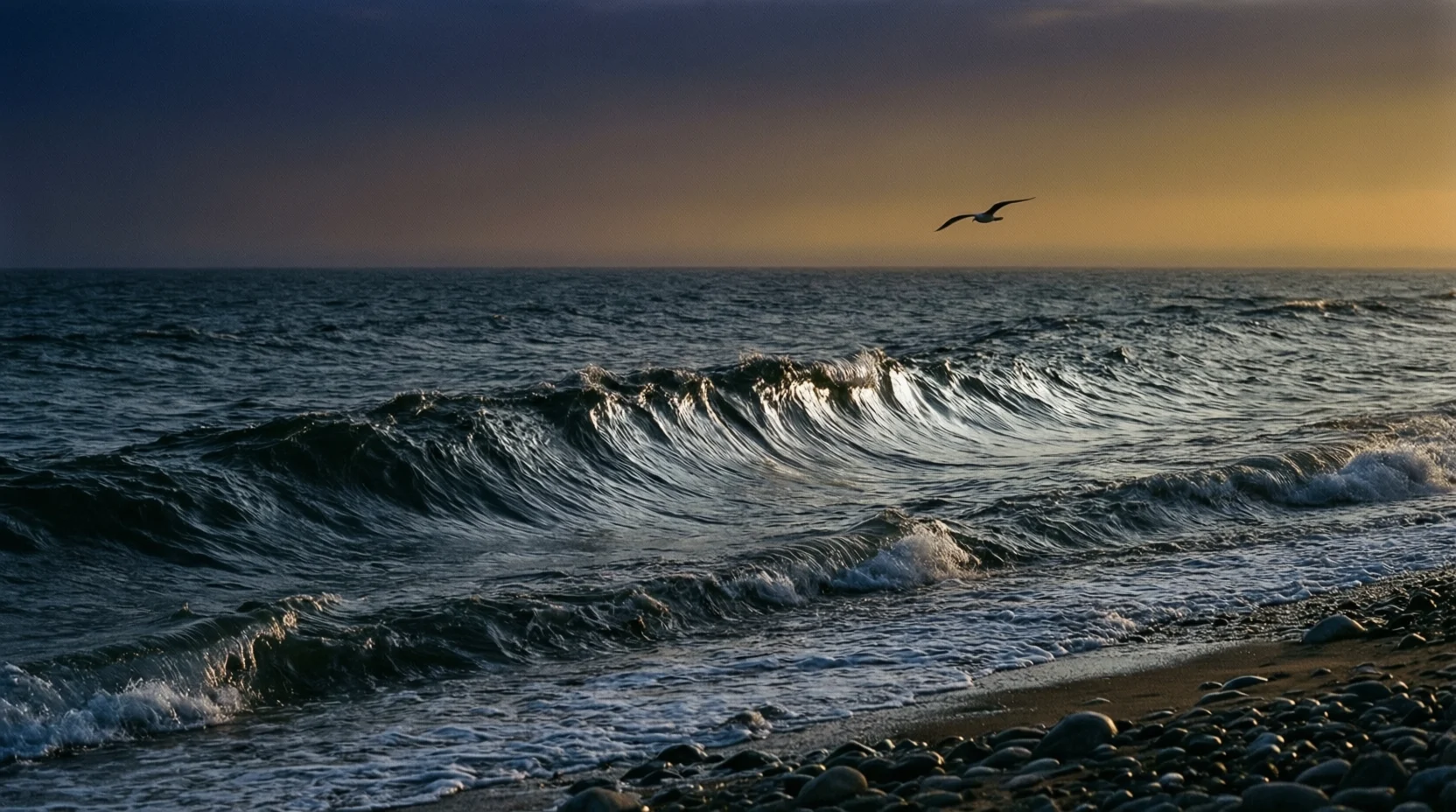 Metaphor for the Ocean